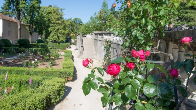 Le Parc Du Bosquet