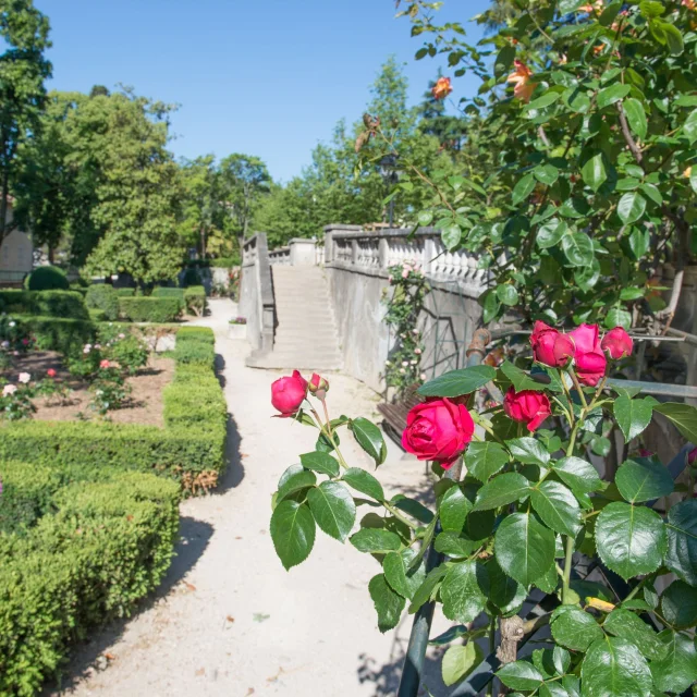 Le Parc Du Bosquet