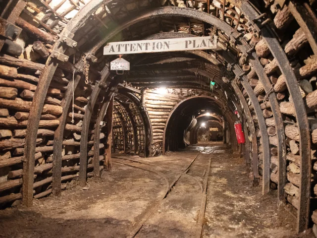 Mine Temoin