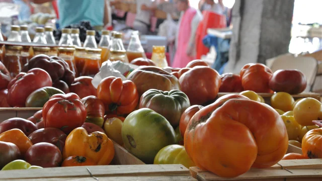 Market tomatoes
