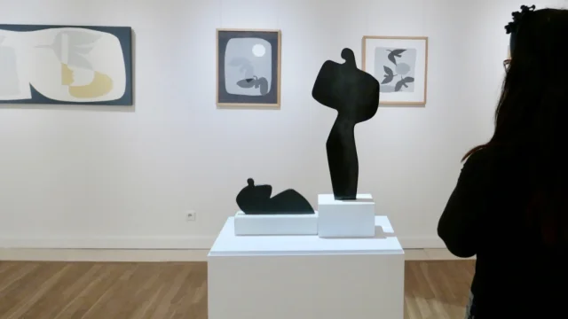 Pab Museum