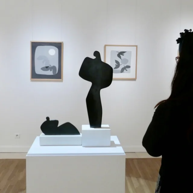 Pab Museum