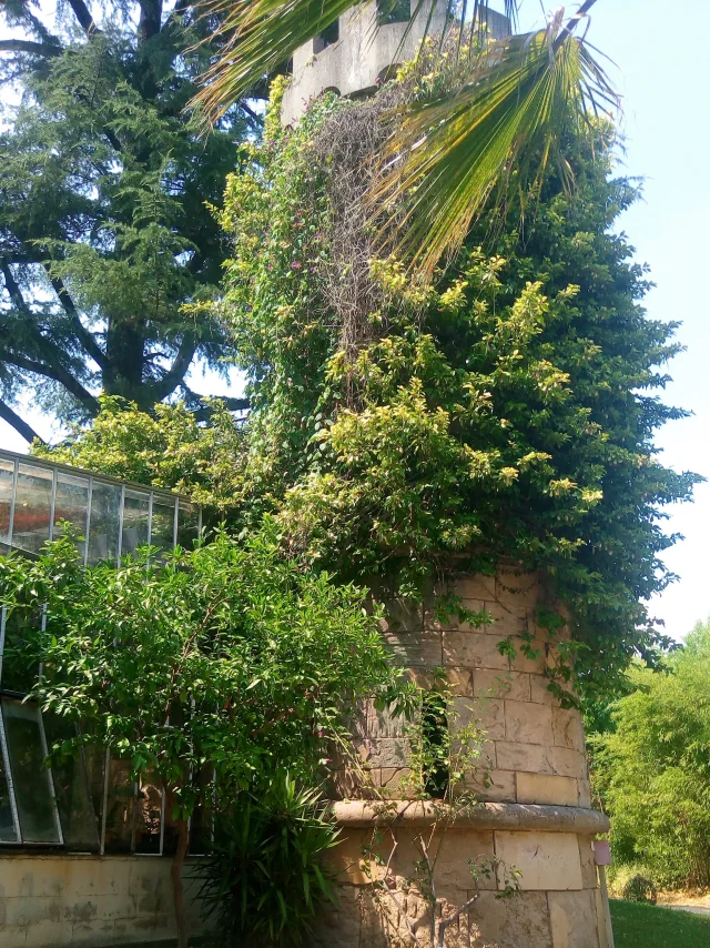 Parc De La Tour Vieille - Tour Vieille