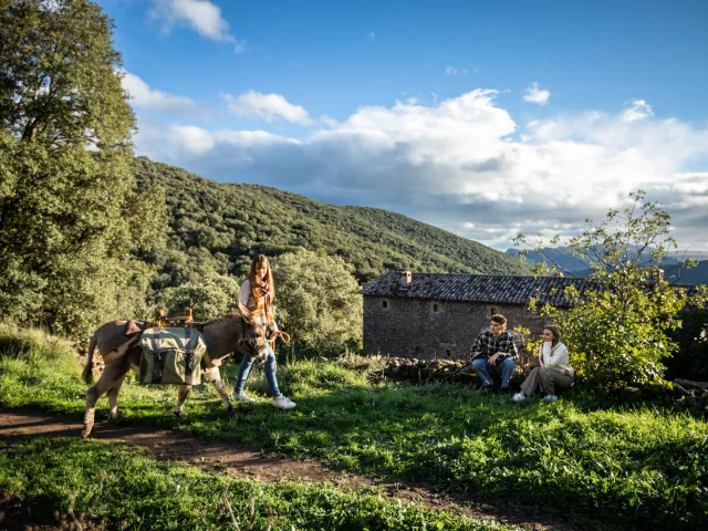 Balade Avec Ane paysage