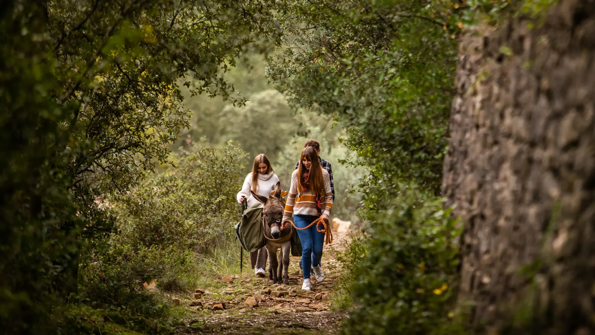 Stroll With Donkey