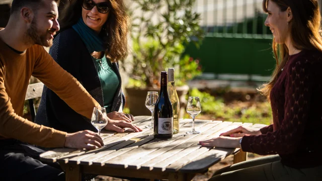 Wine tasting for a group of friends