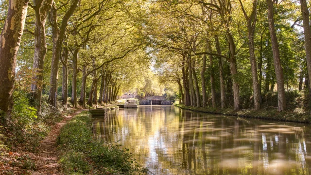 The Canal du Midi towards Carcassonne