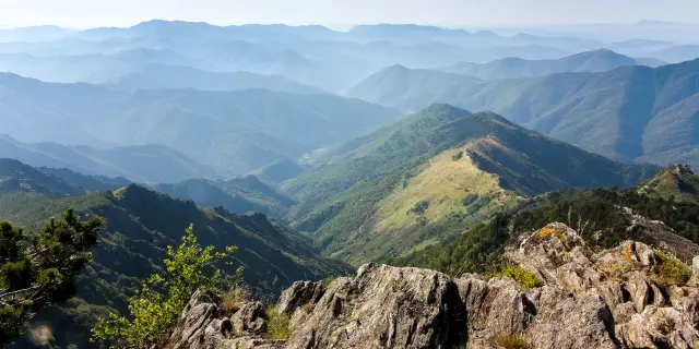 Cévennes - Vallée de l'Hérault depuis l'Aigoual