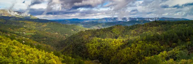 Parc national des Cévennes PNC