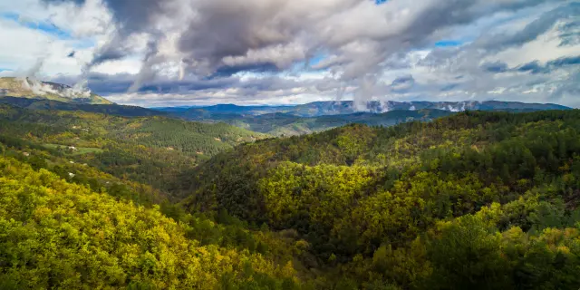 Parc national des Cévennes PNC