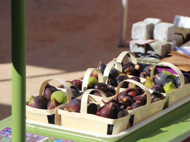 Baskets of Figs