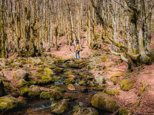 Randonnee aux cascades d'Orgon, Vallee du Coudoulous sur les flancs du Mont Aigoual