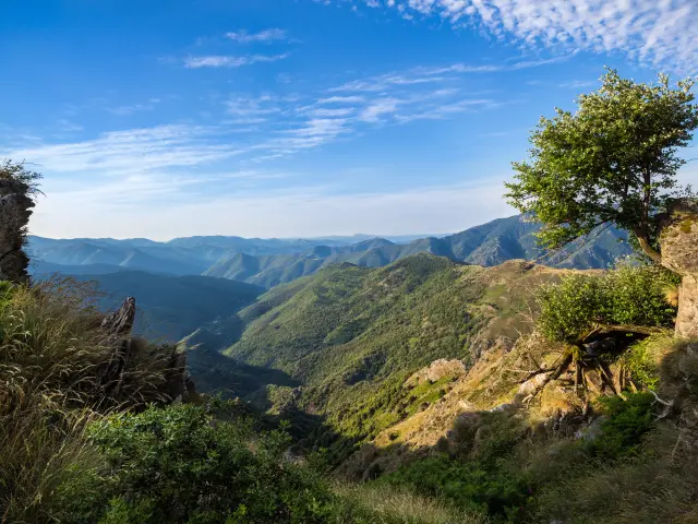 Cevennes valleys