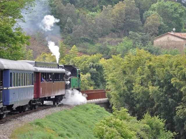 Train à Vapeur Des Cévennes 11.jpg © Bernadette Price (2) (1)