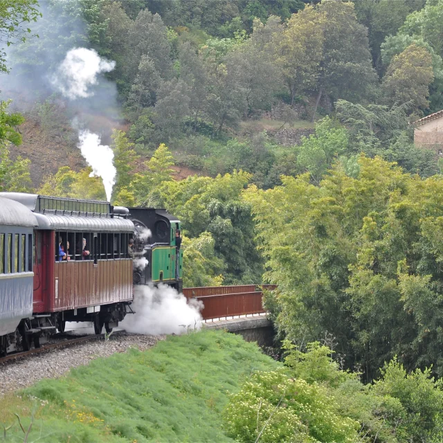 Train à Vapeur Des Cévennes 11.jpg © Bernadette Price (2) (1)