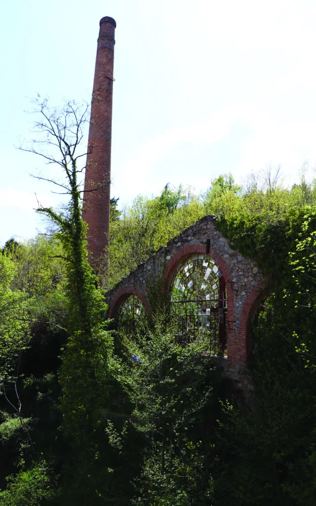 Factory in Tanin