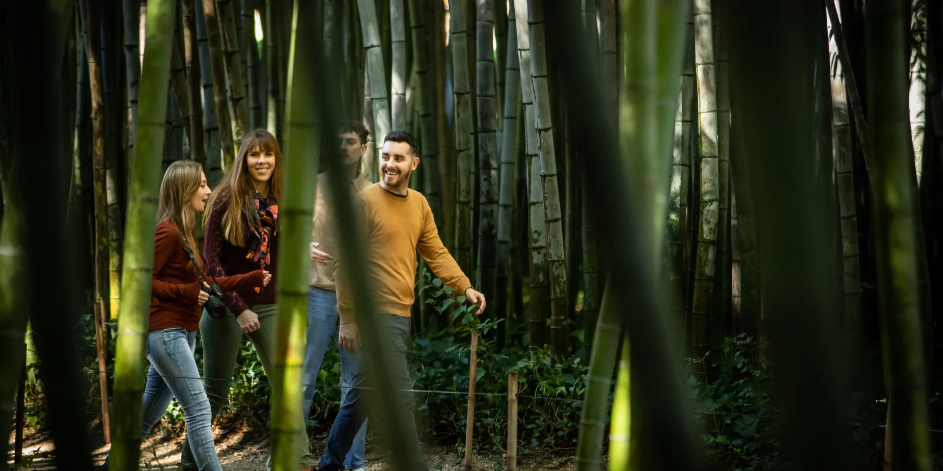 Anduze Bamboo Grove November 2022