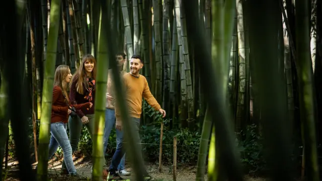 Anduze Bambouseraie Novembre 2022 Hd300dpi Olivier Octobre 40