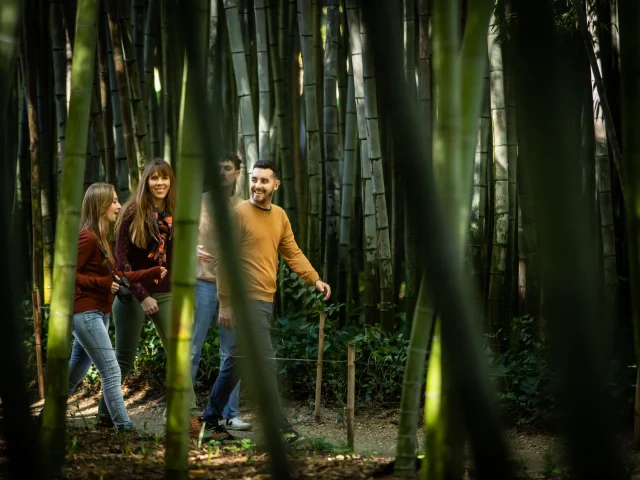 Anduze Bamboo Grove november 2022