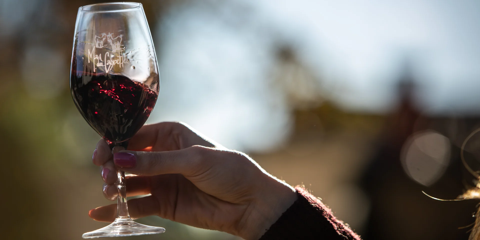 Degustation Vin Mas Des Cabrettes Novembre 2022 Bd Olivier Octobre 29