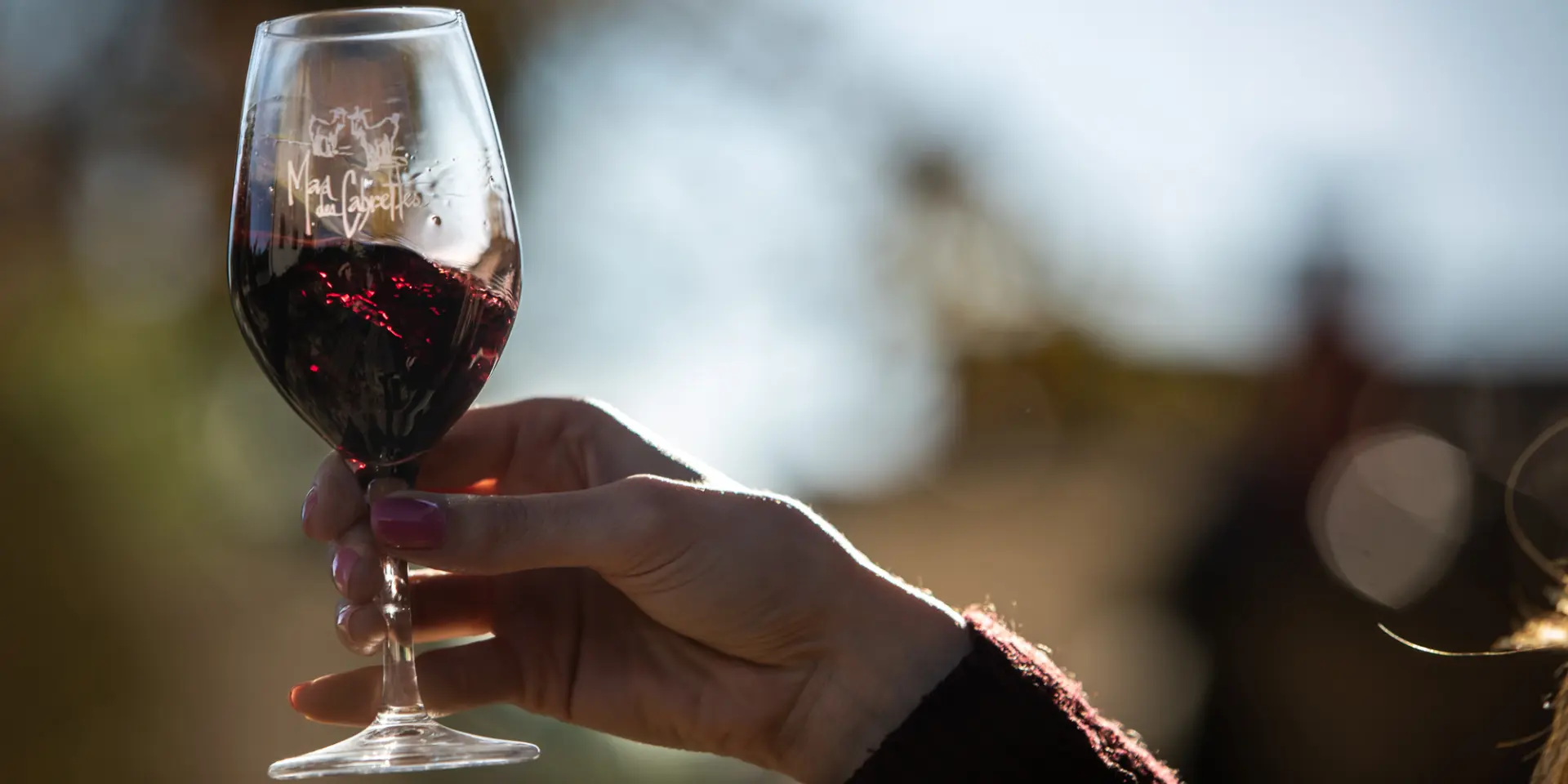 Degustation Vin Mas Des Cabrettes Novembre 2022 Bd Olivier Octobre 29