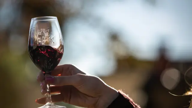 Wine tasting Mas Des Cabrettes November 2022 Bd Olivier October 29