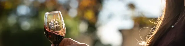 Degustation Vin Mas Des Cabrettes Novembre 2022 Bd Olivier Octobre 30