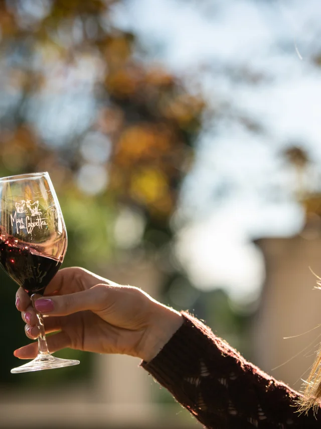 Degustation Vin Mas Des Cabrettes Novembre 2022 Bd Olivier Octobre 30