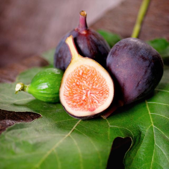 Figues