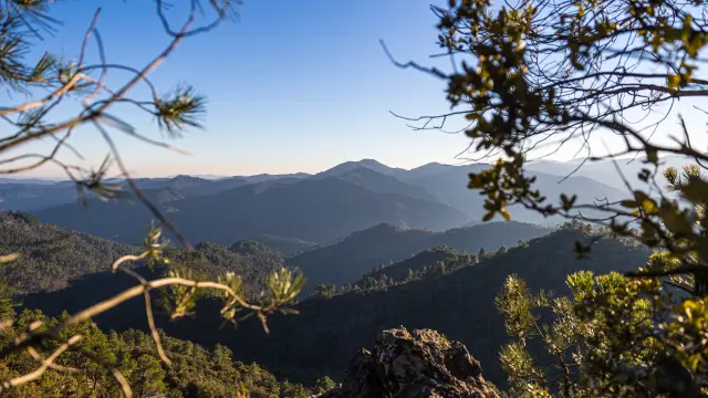 Vue sur les montagnes des Cévennes depuis le Signal Saint-Pierre