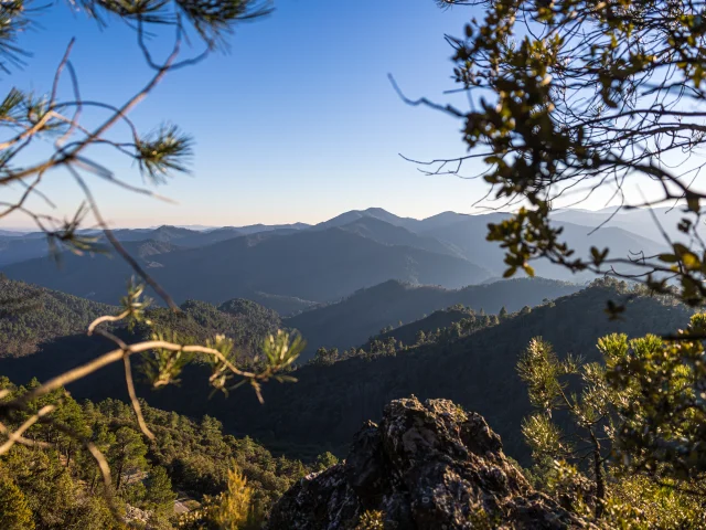Vue sur les montagnes des Cévennes depuis le Signal Saint-Pierre