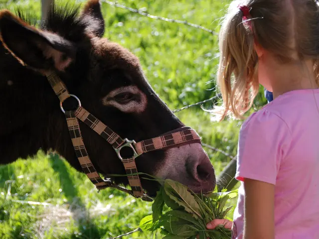 Enfant avec Ane