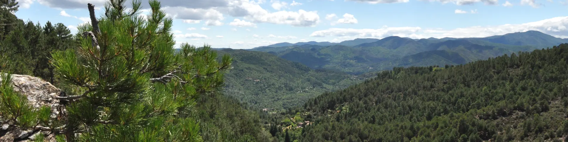 Paysages Cévenols, vue depuis le Col d'Uglas