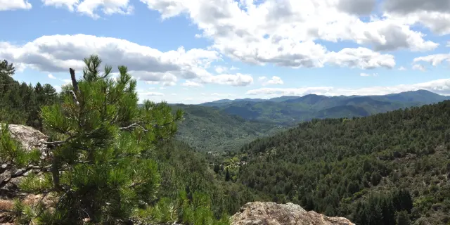 Paysages Cévenols, vue depuis le Col d'Uglas