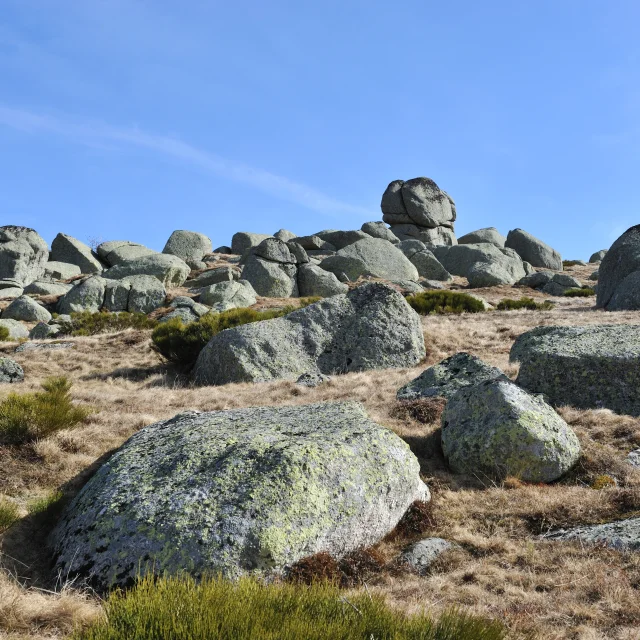 Landschappen C├®venols 125.jpg Finiels ┬® Bernard Hillaire