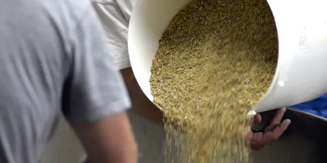 Brasserie De La Jonte