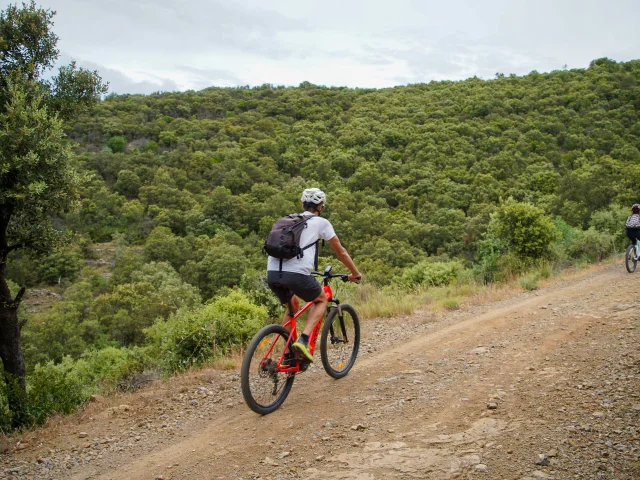 Mountainbike 14