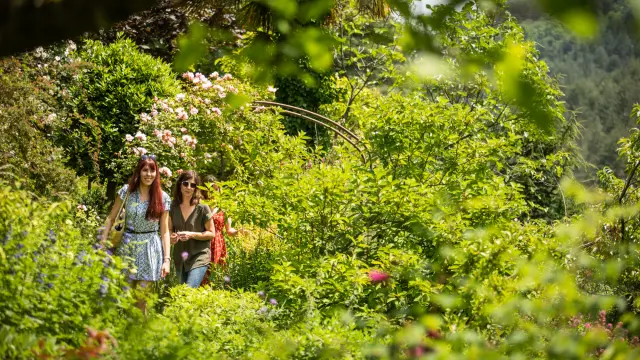 Jardin Du Tomple Printemps Génolhac