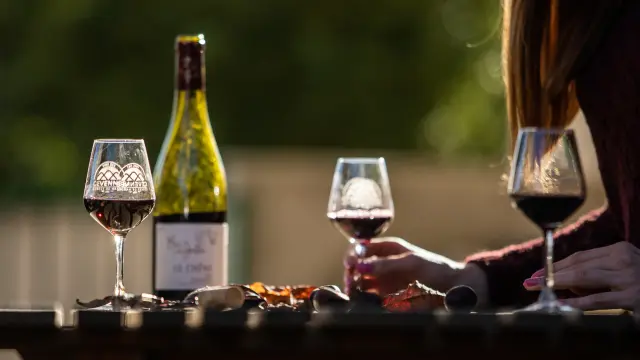 Degustation Vin Mas Des Cabrettes Olivier Octobre