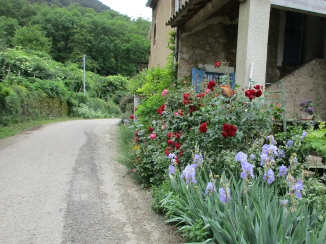 Cévennes