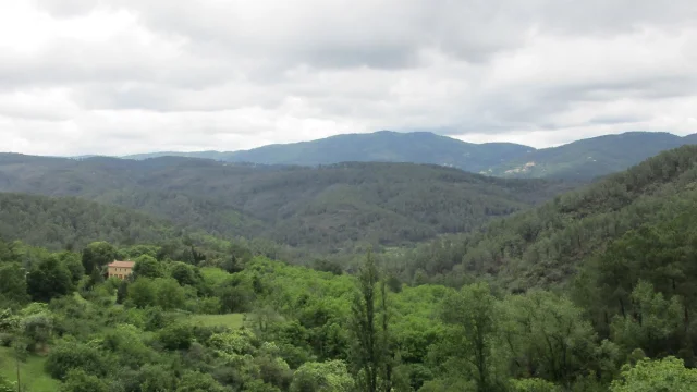 Cévennes