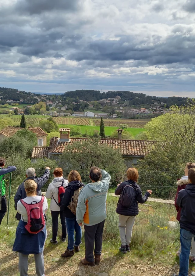Contemplation du paysage
