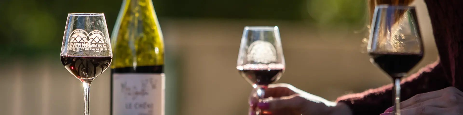 Degustation Vin Mas Des Cabrettes Olivier Octobre