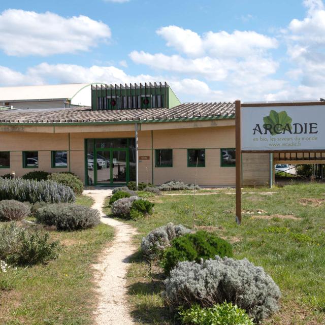 Arcadie