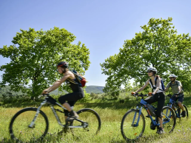 Explorer les Cévennes à vélo avec Reliefs et Nature