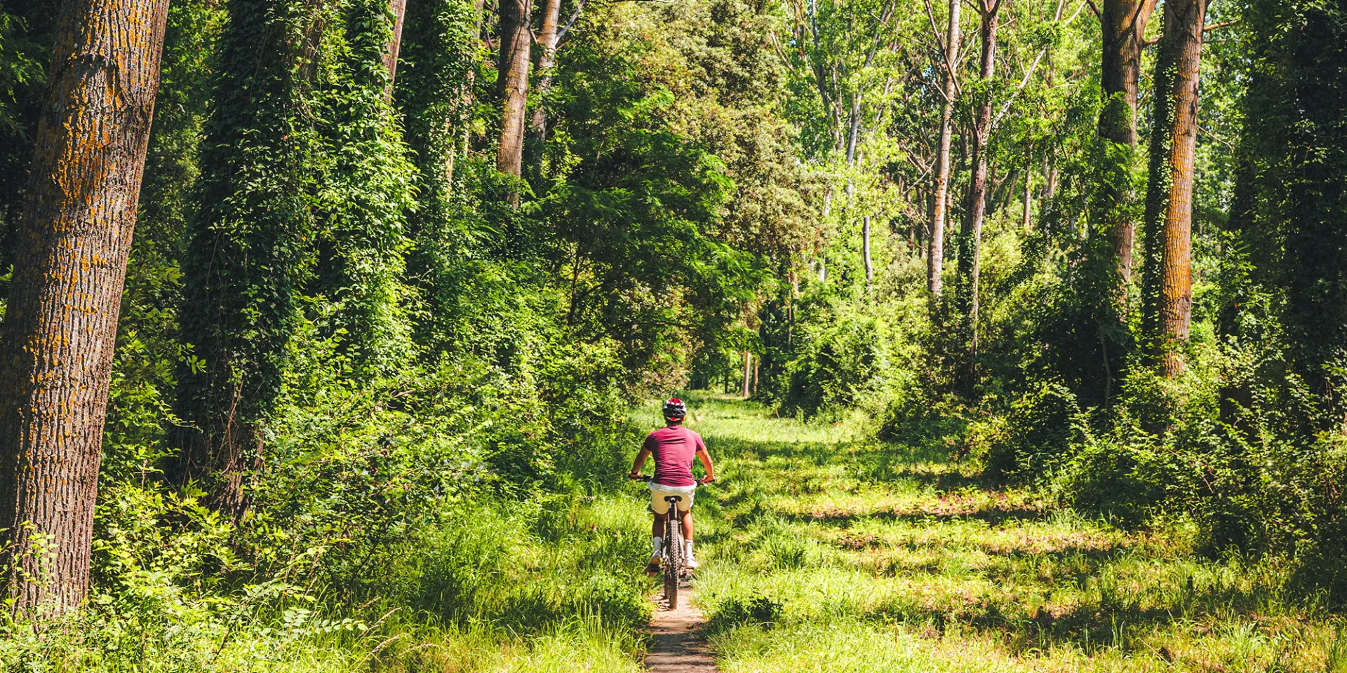 Balade à vélo à l'ommbre des arbres en Cévennes