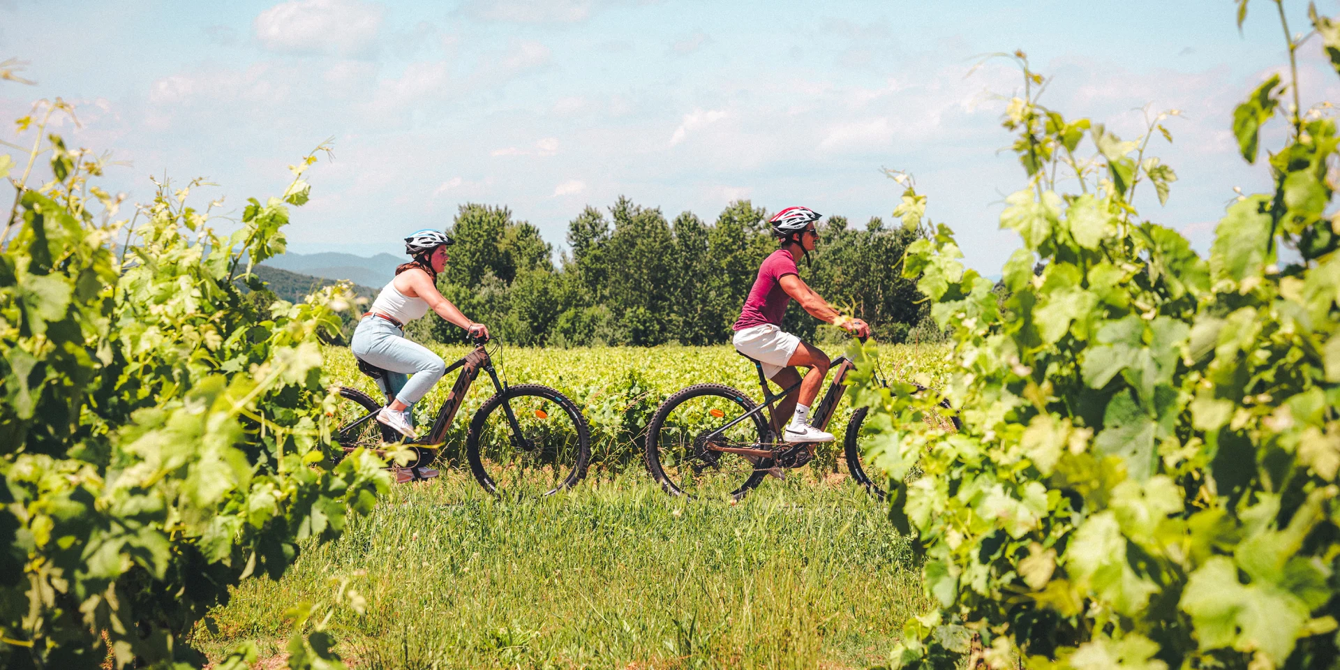 Balade à vélo dans les vignes