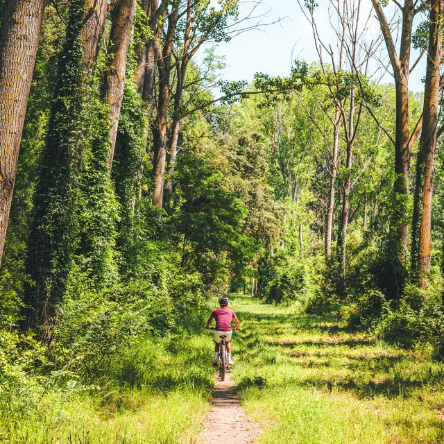 Balade à vélo à l'ommbre des arbres en Cévennes