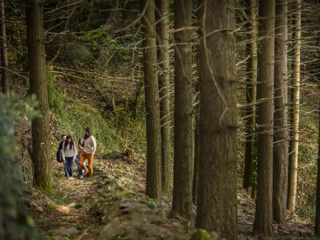 Randonnée entre amis dans le foret de Genolhac