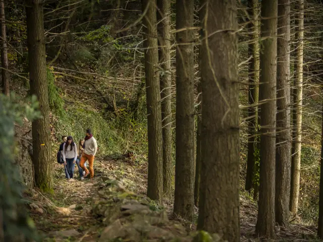 Randonnée entre amis dans le foret de Genolhac